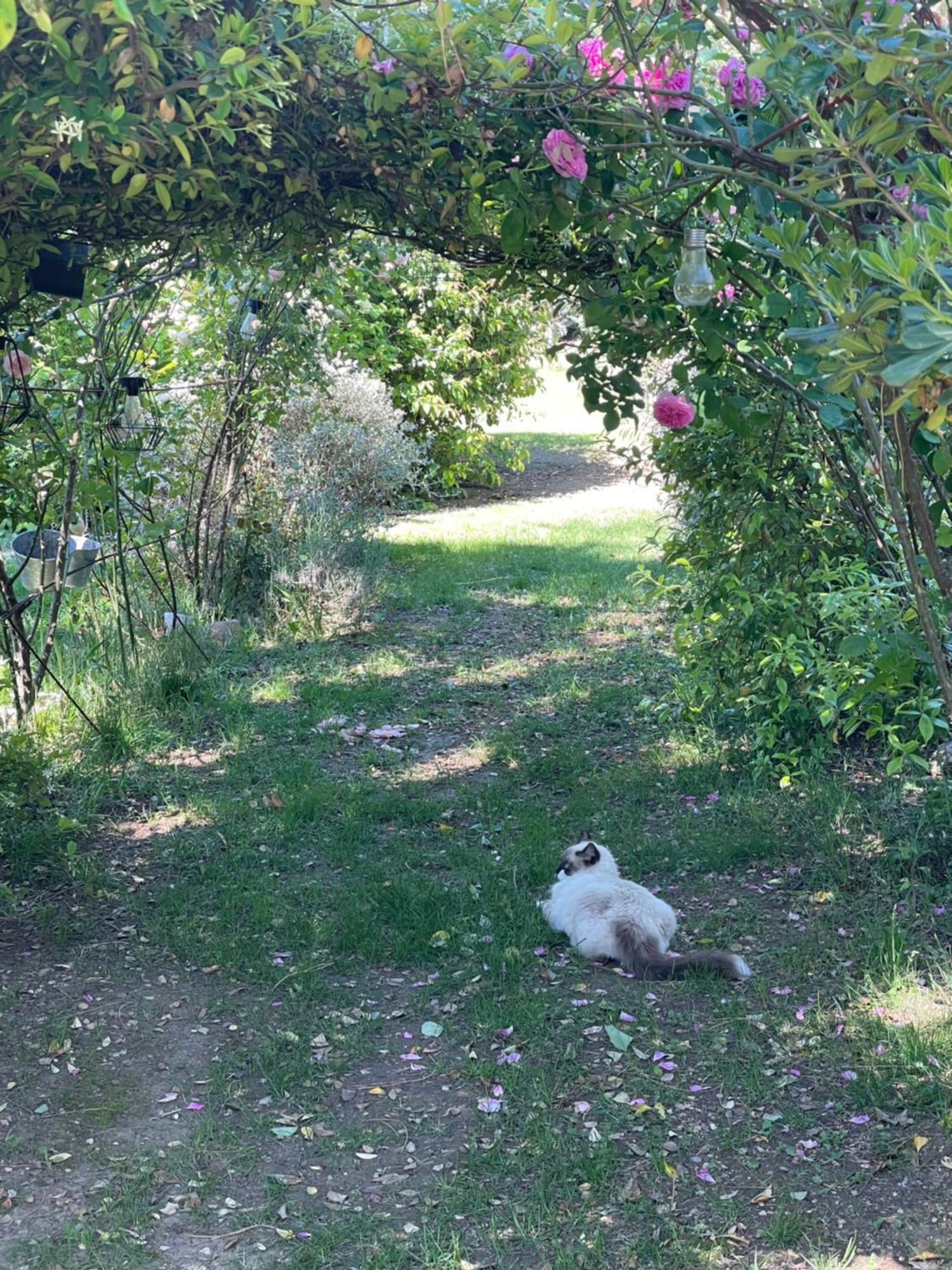 Gites Le Pimayon Manosque Buitenkant foto