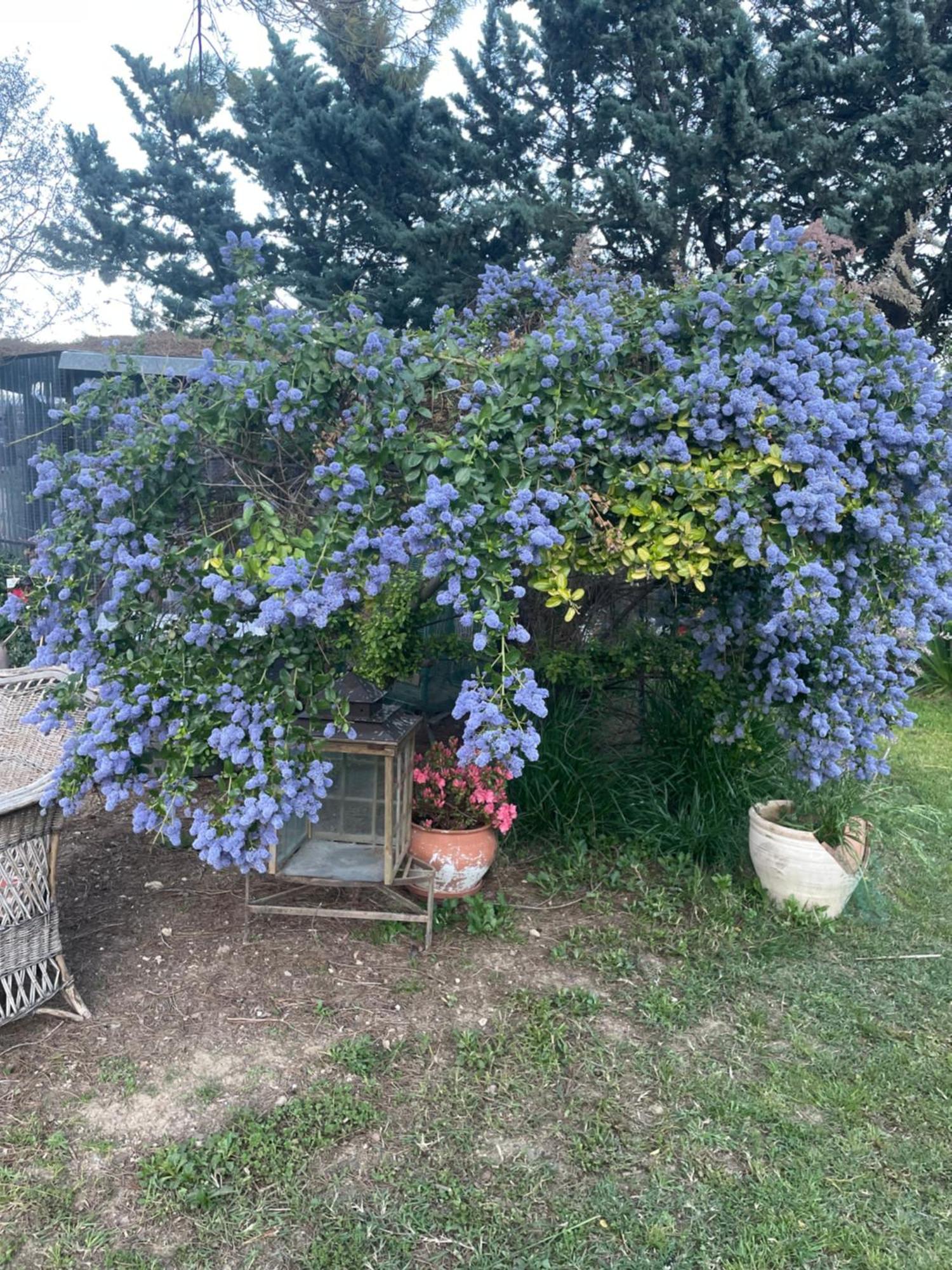 Gites Le Pimayon Manosque Buitenkant foto